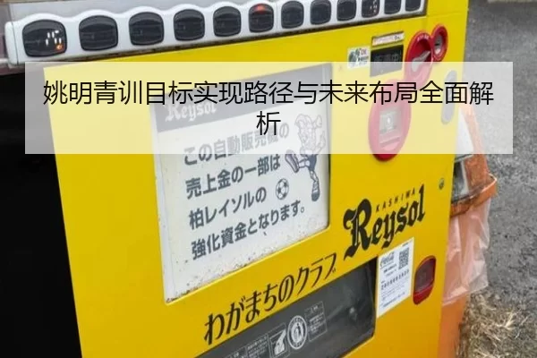 姚明青训目标实现路径与未来布局全面解析